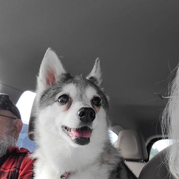 Meet your Posher, Cindy - Picture 1 of 1